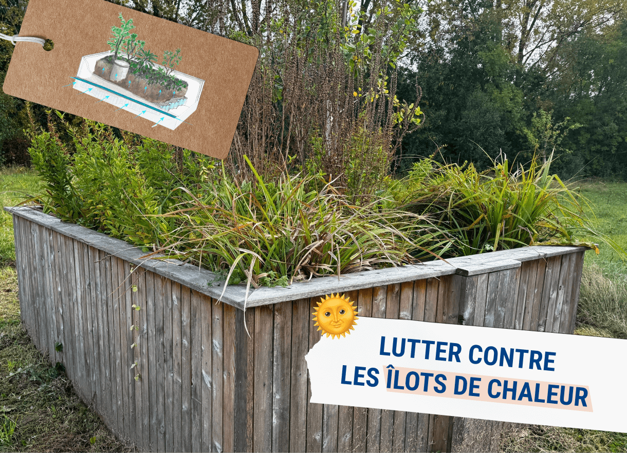 "lutter contre les îlots de chaleur" avec Source Urbaine et Saint Dizier environnement, avec une image d'un jardin de pluie urbain