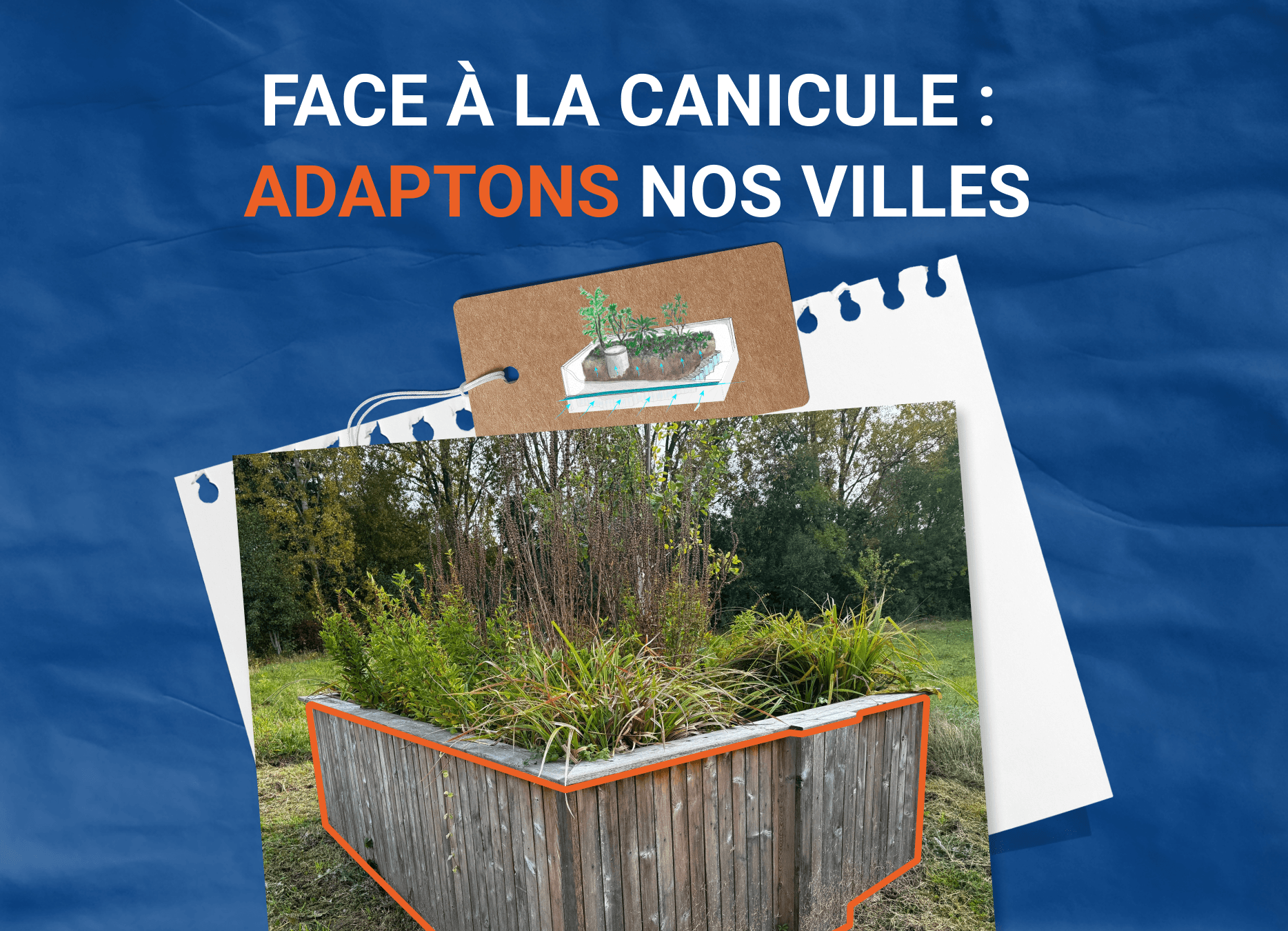 "Face à la canicule : adaptons nos villes" avec notre jardin de pluie urbain Saint Dizier Environnement et Source Urbaine