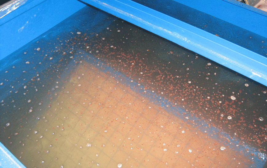 Vue intérieure d'un séparateur à hydrocarbures avec système de coalescence permettant la séparation des huiles et hydrocarbures des eaux pluviales.